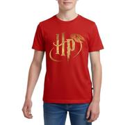 Harry Potter Logo Le Vif d'or Cadeau Magique T Shirt Ado Premium