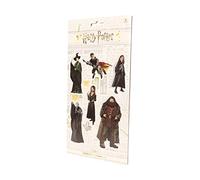 HARR POTTER-REAL CHARACTERS-SET B-SET D AIMANTS G