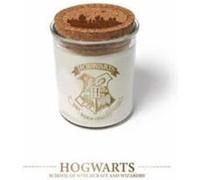 Harry Potter Magical ColorChanging Hogwarts Candle 10 oz by Insight Editions Insight Editions (Auteur)