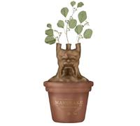 Half Moon Bay – Pot de fleurs / Vase de table – Harry Potter Mandragonne