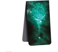 Harry Potter - Marque-page magnétique "Patronus de Poudlard" PM8507 (39,37 cm x 15,24 cm x 0,51 cm) (Noir/Vert)