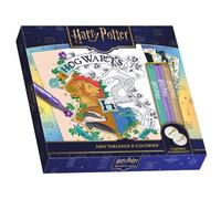 Play Bac Éditions – Harry Potter : Mes tableaux à colorier – Avec 3 feutres brillants