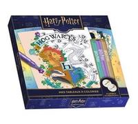 Harry Potter - Mes tableaux à colorier Play Bac Éditions (Auteur)