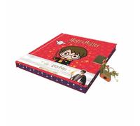 Play Bac Éditions – Mon petit journal secret Harry Potter – Livre-jeu – Broché