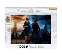 Harry Potter Monde Magique Puzzle En Bois De 1000 Pièces