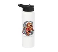 Harry Potter Mosaic Gryffindor with Lion Stainless Steel Insulated Water Bottle