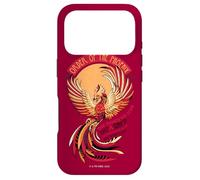 Harry Potter Mosaic Order of The Phoenix Coque pour iPhone 17 Pro