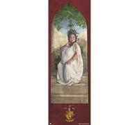Harry Potter - Mot De Passe De Gryffondor - Poster De Porte 53x158