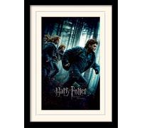 HARRY POTTER-MOUNTED &AMP; FRAMED 30X40-DEATHLY HALLOWS P1 G