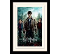 Harry Potter Image Encadrée avec Passe-Partout Multicolore 30 x 40 cm