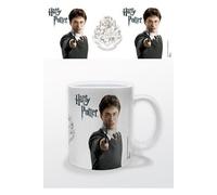 HARRY POTTER-MUG-300 ML-HARRY POTTER