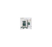 Harry Potter Pack Dés Slytherin Dice & Pouch Set (5)