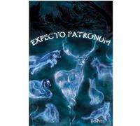 Harry Potter - Patronus - 61x91,5 cm - AFFICHE / POSTER G