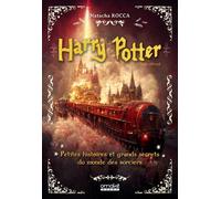 Harry Potter - Petites histoires et grands secrets du monde des sorciers - Natacha Rocca - Omake Books - broché - Guide