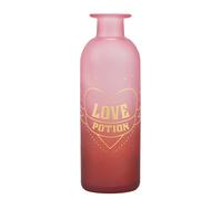 Harry Potter - Philtre D'amour - Vase De Potion En Verre 16cm