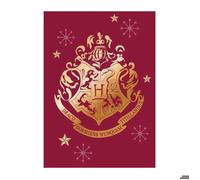 HARRY POTTER-PLAID-COUVERTURE POLAIRE 100X140 CM.