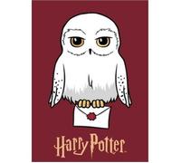 HARRY POTTER-PLAID-COUVERTURE POLAIRE 100X140 CM.