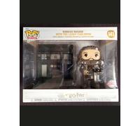 Harry Potter - Pop - Hagrid with Leaky Cauldron n°141 exclusive - Funko