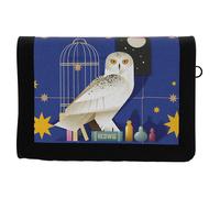 Harry Potter Porte-clés Set Of Wallet And