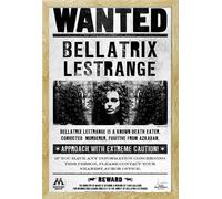 Harry Potter - Poster - Bellatrix + cadre amovible, Shinsuke® Maxi MDF hêtre, vitre acrylique