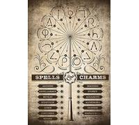 Harry Potter Poster de cinéma avec sorts magiques 61 x 91,5 cm