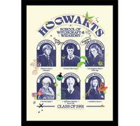 Harry Potter - Poster encadré "Classe 1991", panneau d'information PM8893 (40 cm x 30 cm) (Blanc)