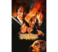 Harry Potter Poster et la Chambre des Secrets (61cm x 91,5cm)
