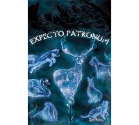 Harry Potter Poster Expecto Patronus (61 x 91,5 cm) + boîte cadeau blanche prête à offrir.