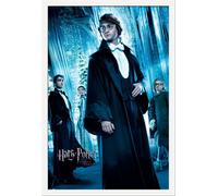 Harry Potter - Poster - Harry Ball + cadre amovible, Shinsuke® Maxi MDF blanc, vitre acrylique