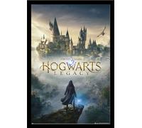 Harry Potter - Poster - Hogwarts Legacy + cadre amovible, Shinsuke® Maxi MDF noir, vitre acrylique