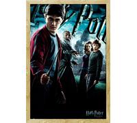 Harry Potter - Poster - Main + cadre amovible, Shinsuke® Maxi MDF hêtre, vitre acrylique