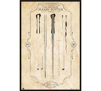Harry Potter - Poster - Mur de Harry Potter + cadre interchangeable, Shinsuke® Maxi plastique noir, vitre acrylique