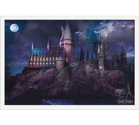 Harry Potter - Poster - Poudlard + cadre amovible, Shinsuke® Maxi MDF blanc, vitre acrylique