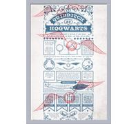 Harry Potter - Poster - Quidditch At Hogwarts + cadre amovible, Shinsuke® Maxi MDF argenté, vitre acrylique