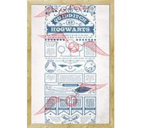 Harry Potter - Poster - Quidditch At Hogwarts + cadre amovible, Shinsuke® Maxi MDF hêtre, vitre acrylique