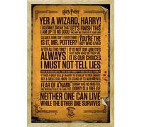 Harry Potter - Poster - Quotes + cadre amovible, Shinsuke® Maxi MDF hêtre, vitre acrylique