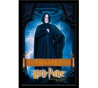 Harry Potter - Poster - Rogue + cadre amovible, Shinsuke® Maxi MDF noir, vitre acrylique