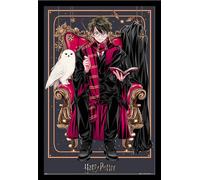 Harry Potter - Poster - Wizard Dynasty - Harry + cadre amovible, Shinsuke® Maxi MDF noir, vitre acrylique