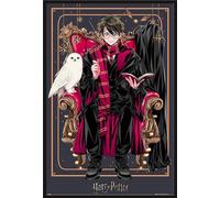 Harry Potter - Poster - Wizard Dynasty - Harry + cadre amovible, Shinsuke® Maxi plastique noir, vitre acrylique