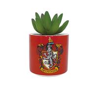 Harry Potter Pot de Fleurs en grès Rouge 150 ML