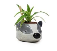 Harry Potter - Poufsouffle - Pot Pour Plante