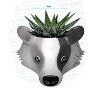 Harry Potter - Poufsouffle - Pot Pour Plante
