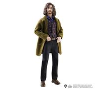 Harry Potter - Poupée Sirius Black 25cm - Poupée Figurine - Dès 6 ans