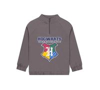 Harry Potter Pull avec Zip, Vêtements Garçon Hogwarts, Sweat Garçon Fermeture Eclair, Gris 6-7 Ans
