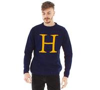 HARRY POTTER Pull de Noël Harry Lettre H Pull Bleu Unisexe tricoté