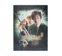 Harry Potter Puzzle 500 pièces Harry Potter et la Chambre des Secrets en Tube Décoratif Multicolore