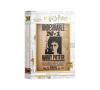 SD Toys - Puzzle Undesirable Harry Potter - 1000 pièces - G