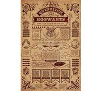 Harry Potter - Quidditch At Hogwarts - old - 61x91,5 cm - AFFICHE / POSTER G