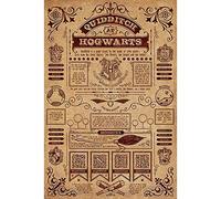 Harry Potter Quidditch at Hogwarts Unisexe Poster multicolore Papier 61 x 91,5 cm