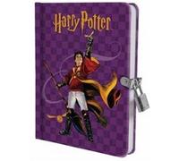 Harry Potter Quidditch Lock and Key Diary by Insight Editions Insight Editions (Auteur)